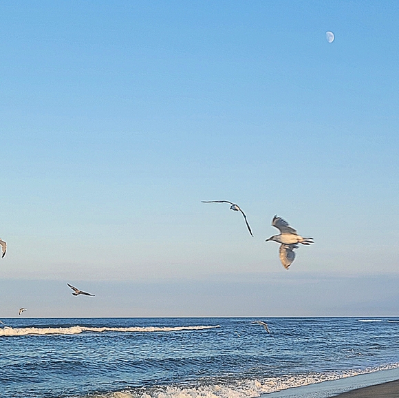 A Welcome to All New Buyers and Grateful Friends - Picture 10 of 17